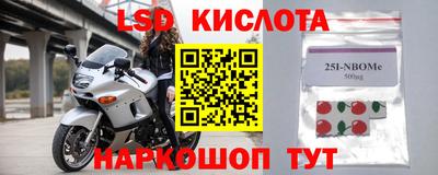 стаф Шелехов