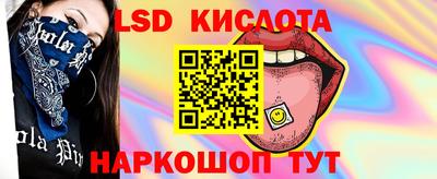 стаф Шелехов