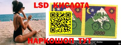 прущие грибы Шебекино