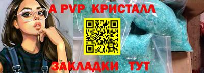 стаф Шелехов