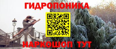 стаф Шелехов