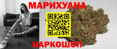 стаф Шелехов