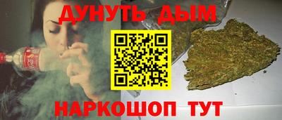 стаф Шелехов