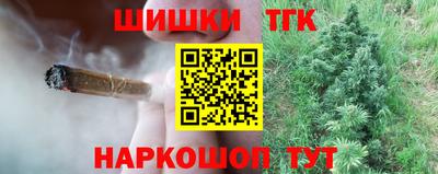 стаф Шелехов
