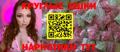 стаф Шелехов