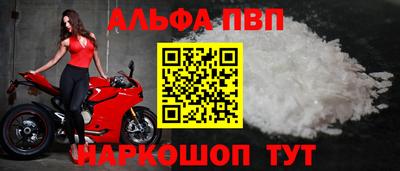стаф Шелехов