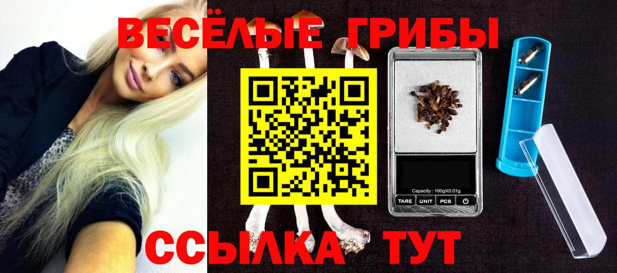 Галлюциногенные грибы мицелий  Галлюциногенные грибы GOLDEN TEACHER  Вход с VPN  Волгодонск 