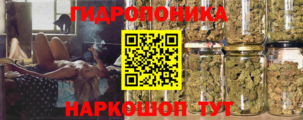 Каннабис марихуана  Вход с VPN  Волгодонск  Бошки марихуана SATIVA & INDICA  Шишки марихуана сатива 